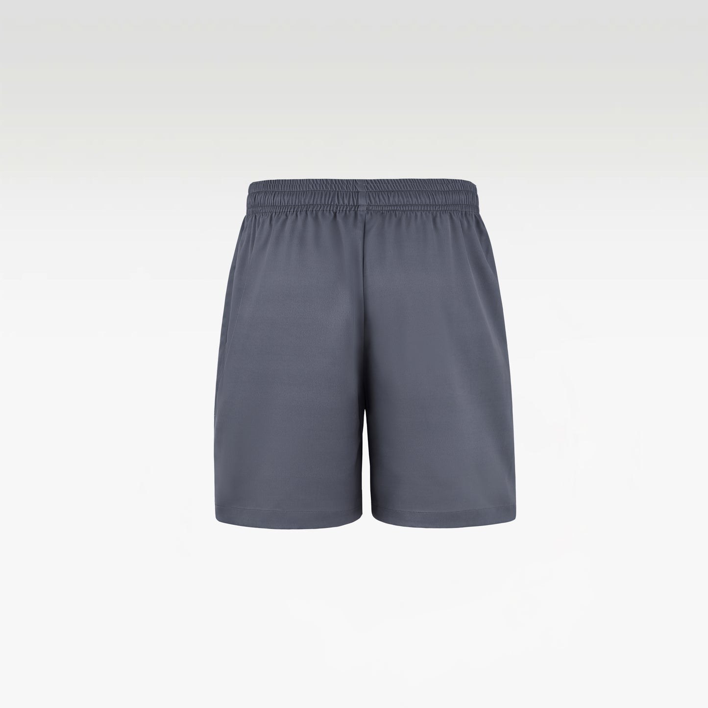 Silver Dust Silk Shorts