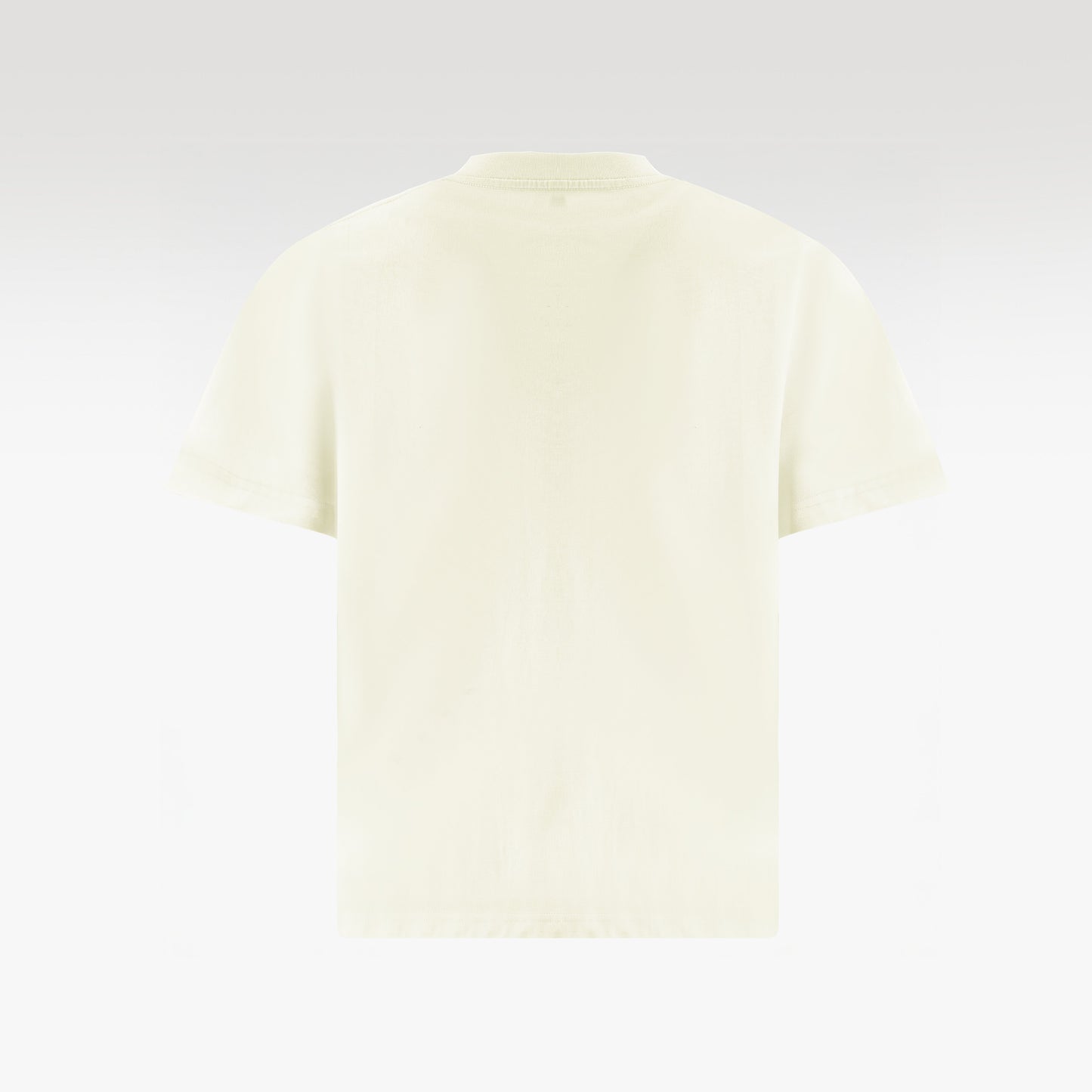 Parrot Cotton T-Shirt | Symmetrical Tropical Oversized Shirt Unisex Wide-Fit