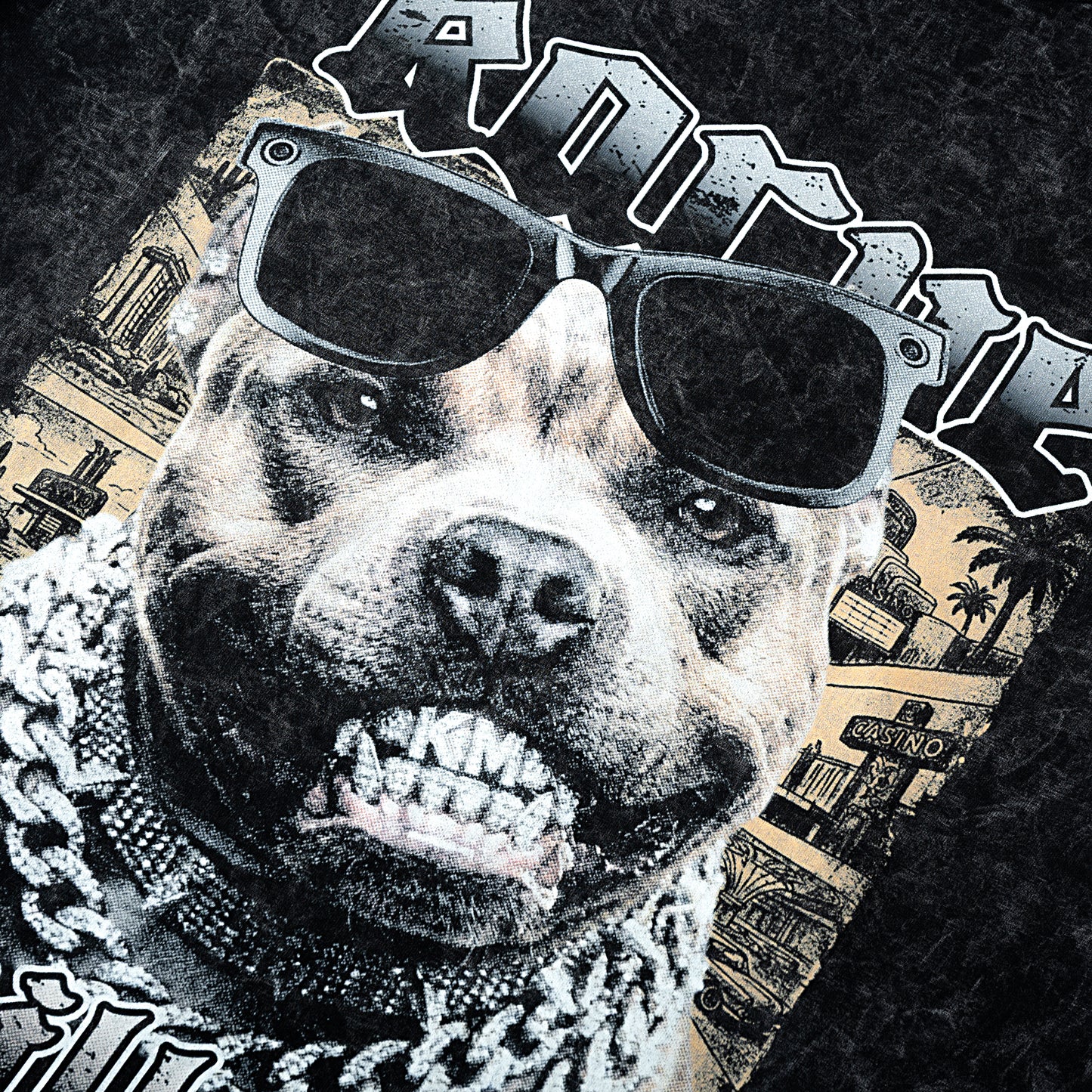 STREET PITBULL WASH T- SHIRT | Vintage Acid Wash Graphic Tee - Gothic Boxy Fit Streetwear Shirt